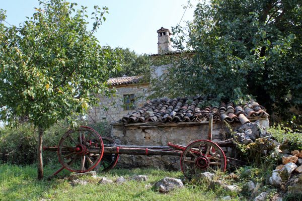 Rakotule - photo 2