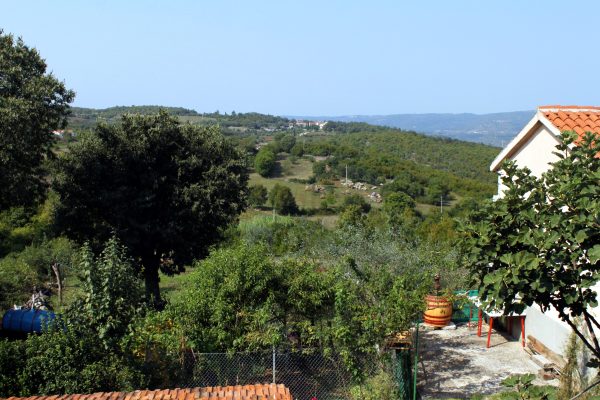 Rakotule - photo 4