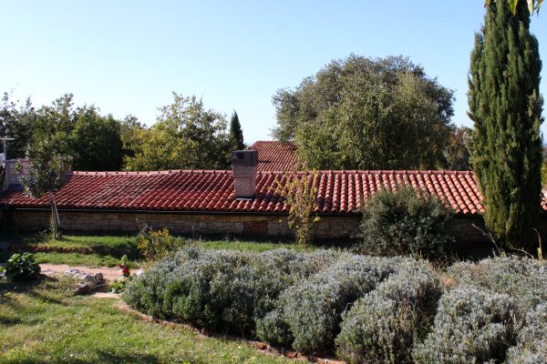 Rakovci
