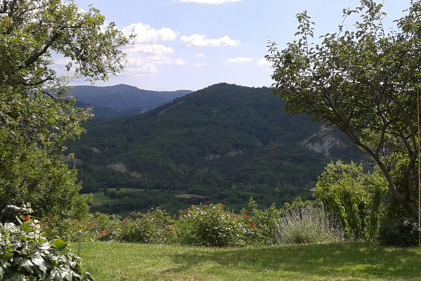Roč - photo 2