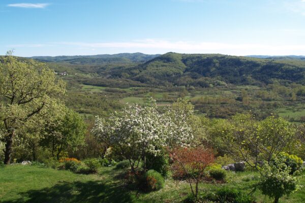 Roč - photo 3