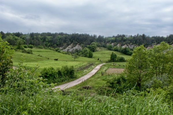 Ročko Polje