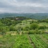 Ročko Polje - photo 2