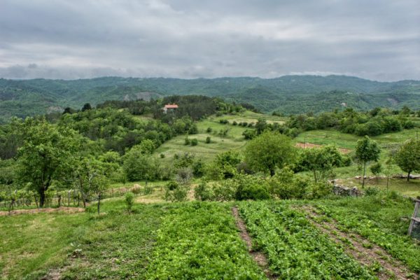 Ročko Polje - photo 2