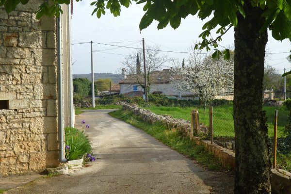 Sinožići - photo 3