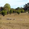 Šumber - photo 3