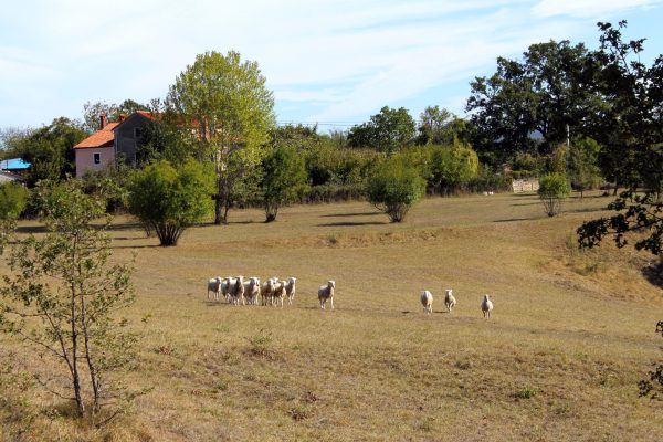 Šumber - photo 3