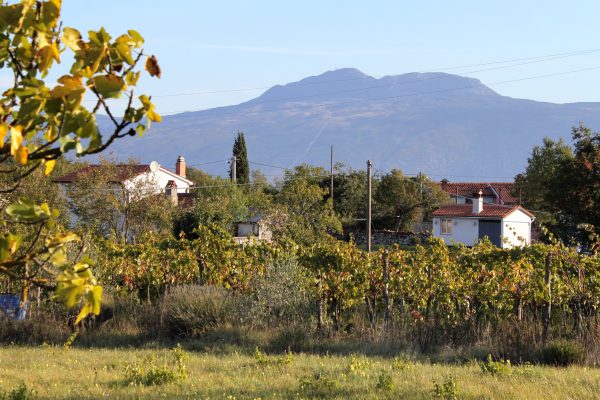 Šumber - photo 4