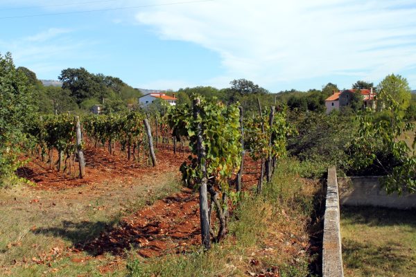 Šumber - photo 7