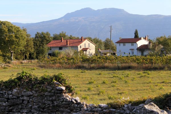 Šumber - photo 8