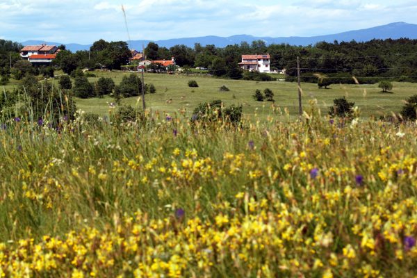 Sveti Martin - photo 10