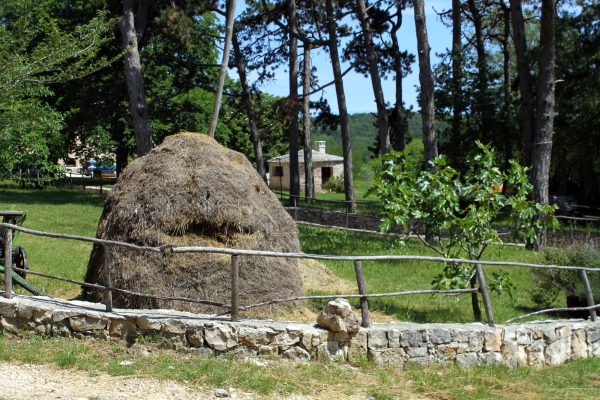 Sveti Martin - photo 11