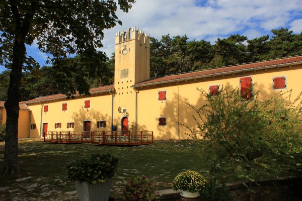 Sveti Martin - photo 4