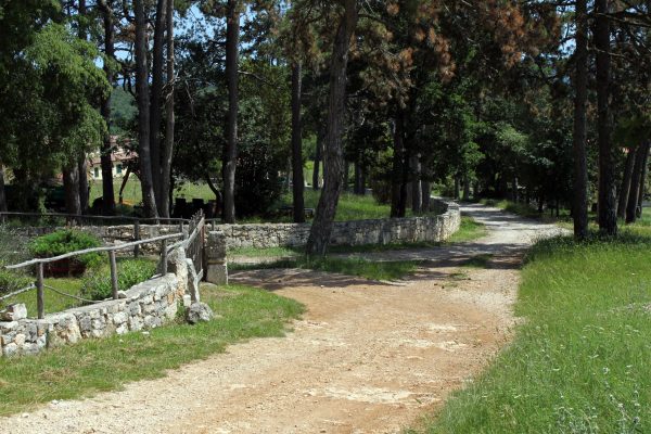 Sveti Martin - photo 5