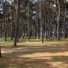 Sveti Martin - photo 8