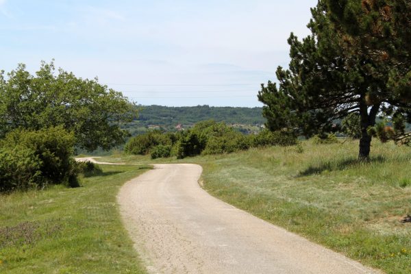 Sveti Martin - photo 9
