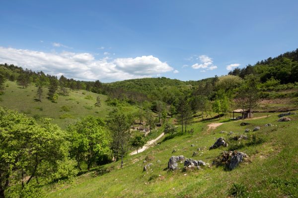 Trviž - photo 2