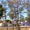 Valbandon - photo 10