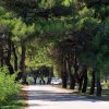 Valbandon - photo 17