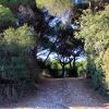 Valbandon - photo 18