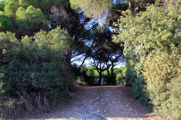 Valbandon - photo 18