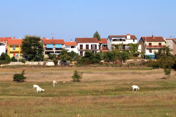Valbandon - photo 8