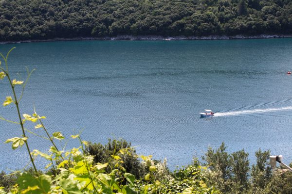 Duga Luka (Prtlog) - photo 3