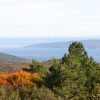 Junac - photo 1