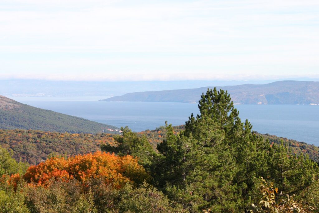 Istria Labin Junac Croatia