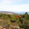 Junac - photo 2