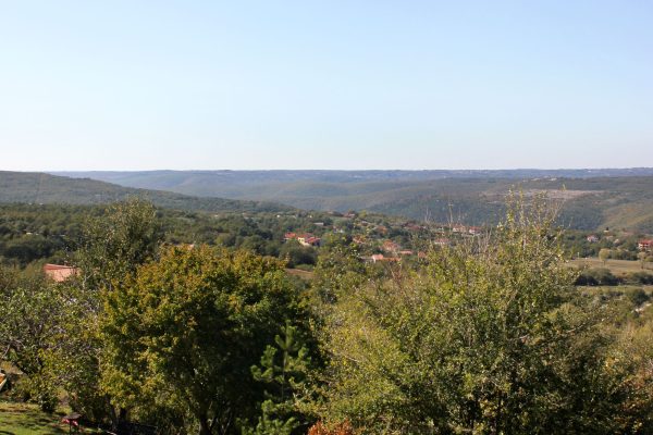 Presika
