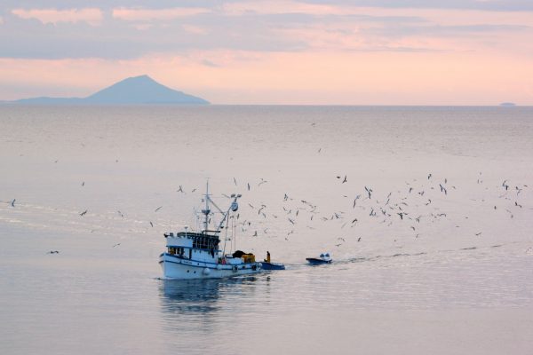 Rabac - photo 13