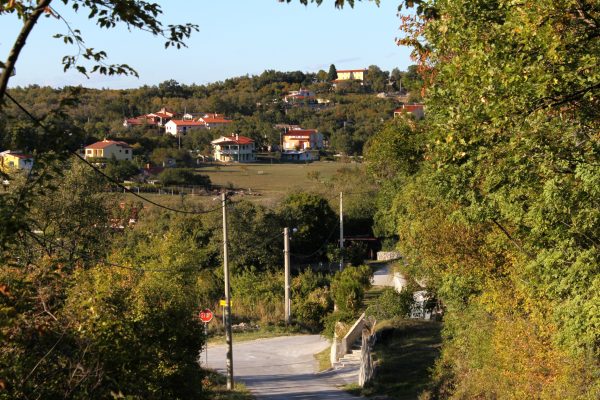 Ripenda - photo 2