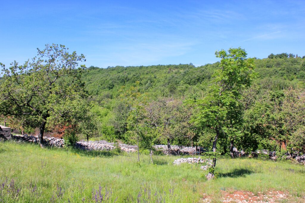 Istria Labin Ripenda Verbanci Croatia