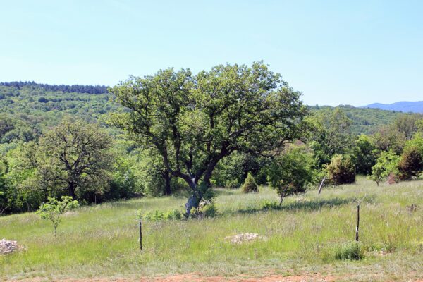 Ripenda Verbanci - photo 2