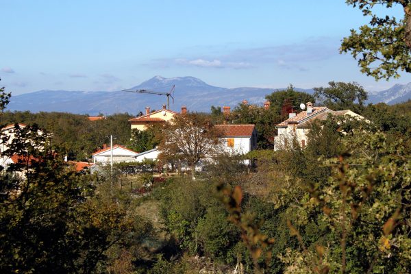 Salakovci