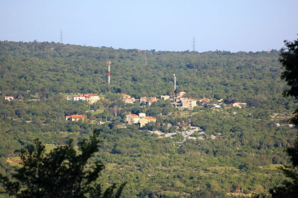 Stepčići