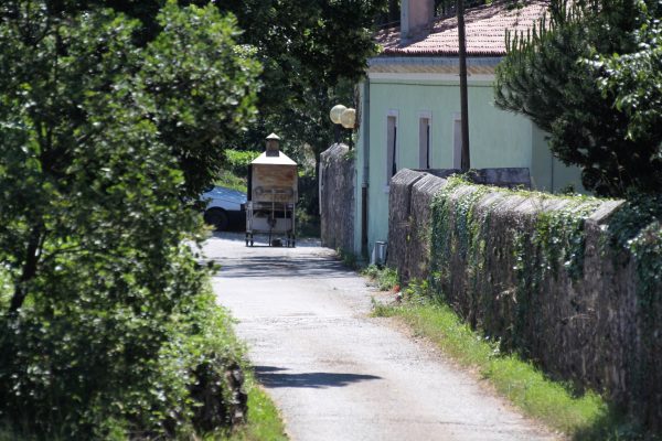Štrmac - photo 7