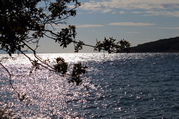 Sveta Marina - photo 12