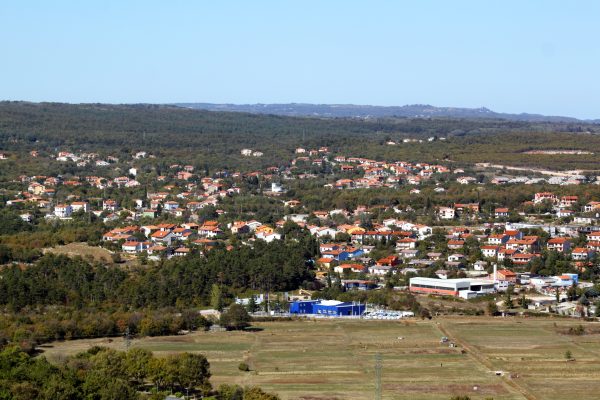 Vinež