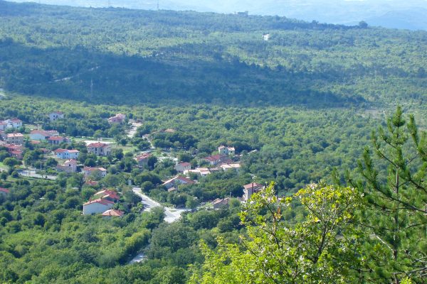 Vozilići