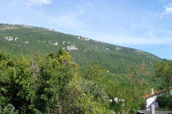 Vozilići - photo 3