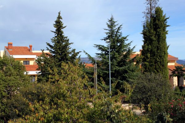 Pavičini - photo 2