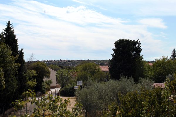 Pavičini - photo 3