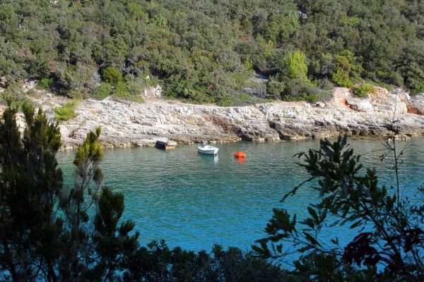 Peruški - photo 2