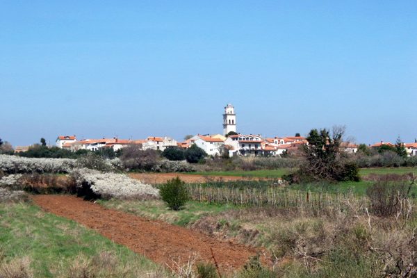 Premantura - photo 11