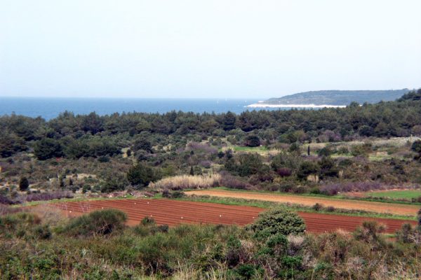 Premantura - photo 14