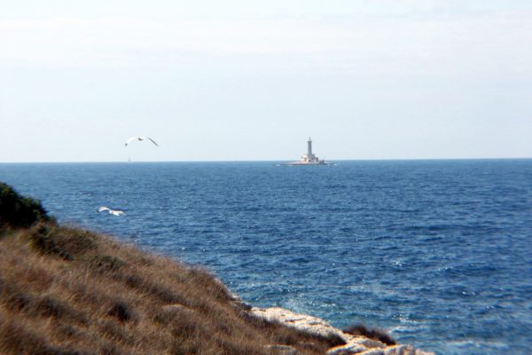 Premantura - photo 16