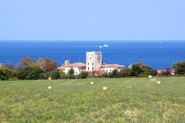 Dajla