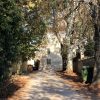 Dajla - photo 11